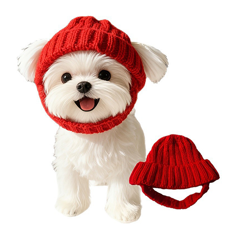 Maltese Dog Beanie Hat Cozy So - Knit Beanie Hat Warm incelemesi ve fiyatı